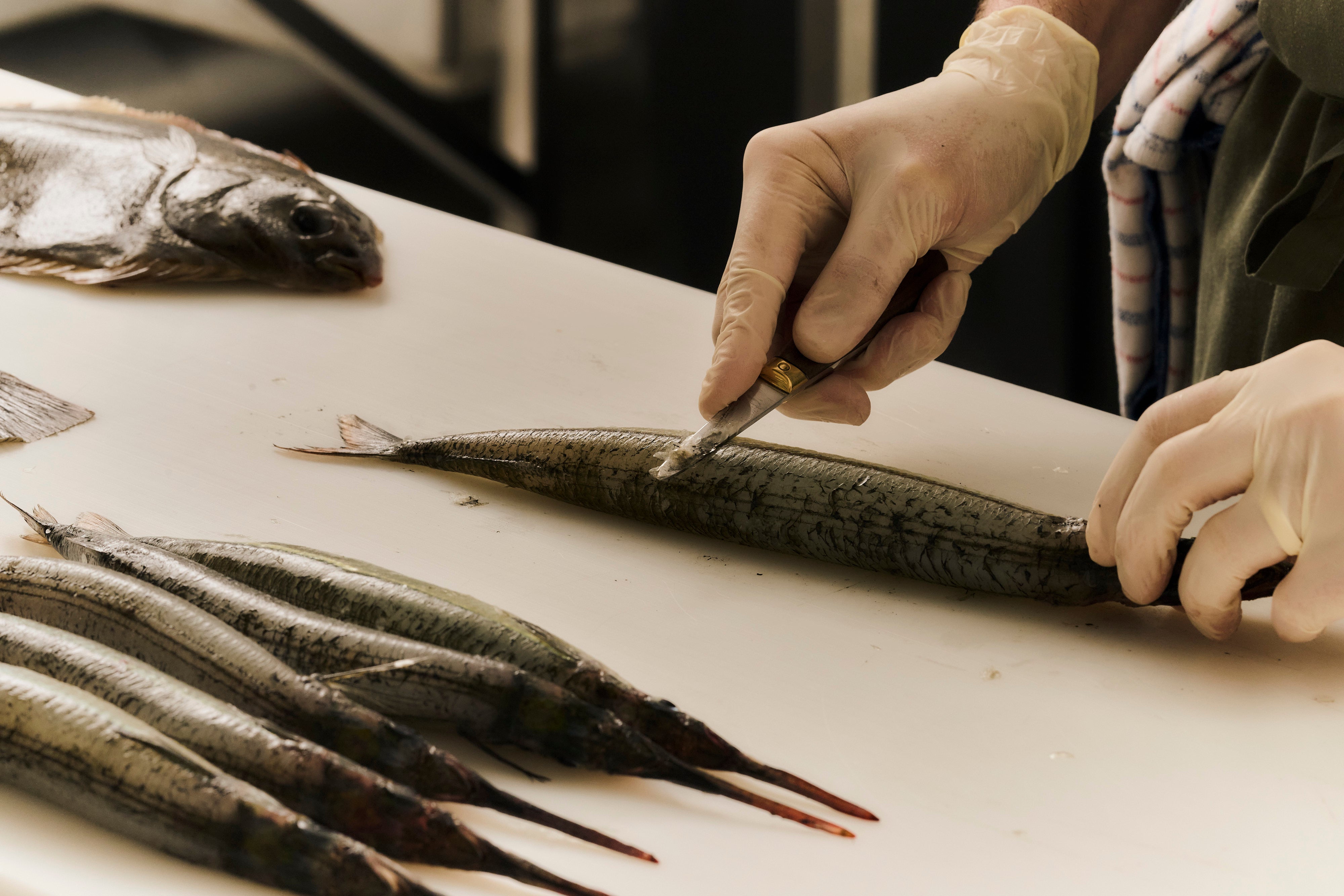 Garfish with Caper Butter and Leaf Salad