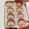 A metal tray lined with Portside brand paper, holding eight raw scallop shells with the pale valves facing up, held by hands at the top and right edges.